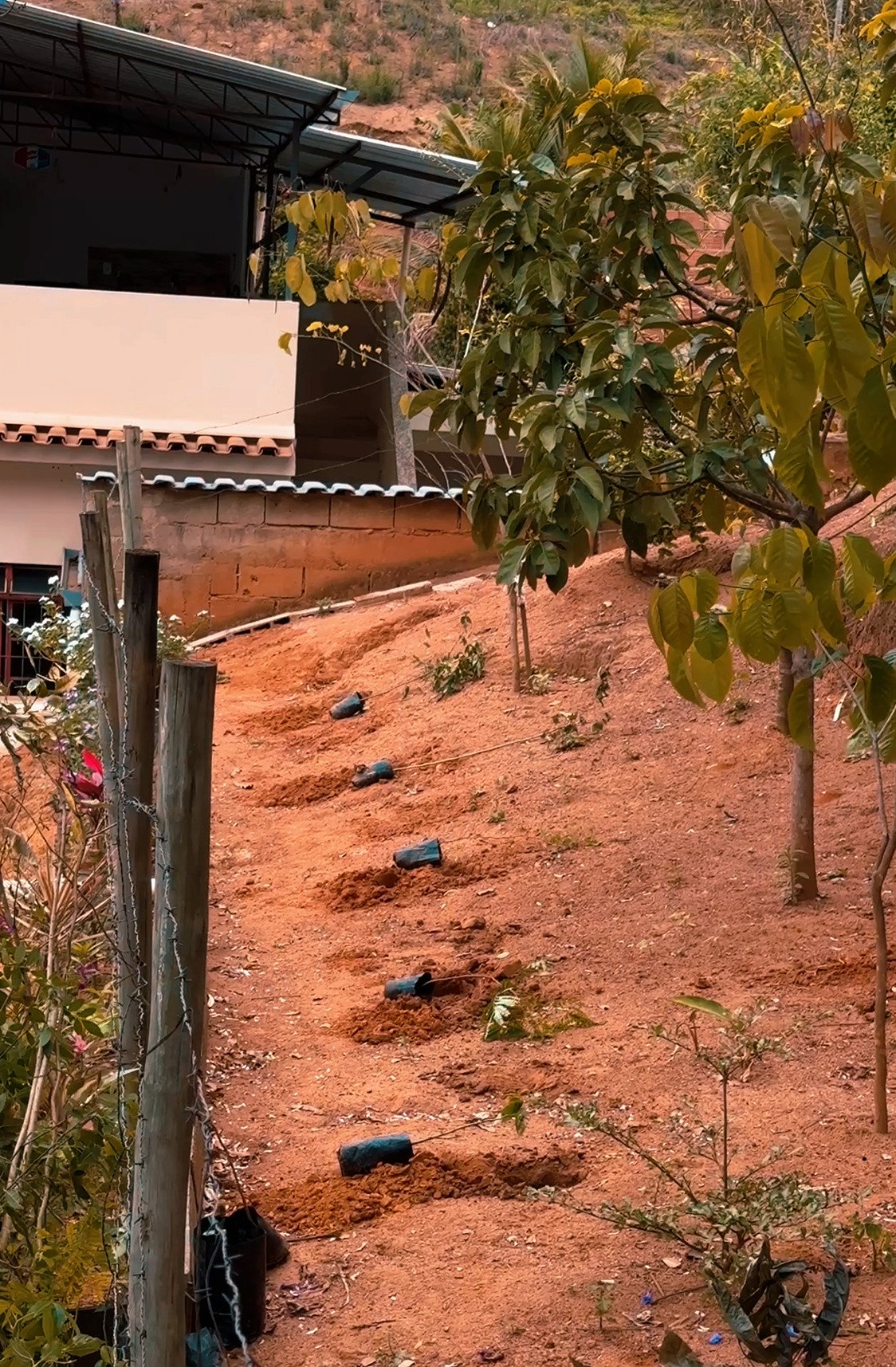 Captura de tela 2026-09-23 154221