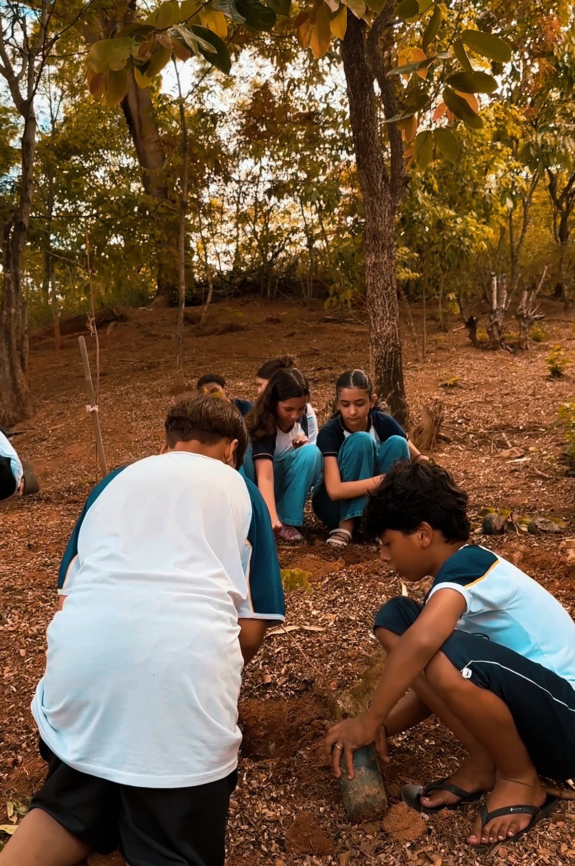 Captura de tela 2026-09-23 154353